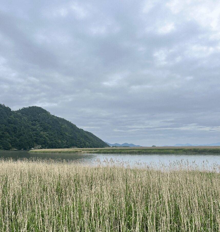 Suncheon Bay Wetland Reserve